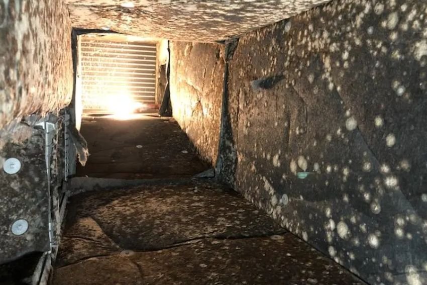 A small room illuminated by sunlight streaming through the window, highlighting the need for HVAC mold removal services.