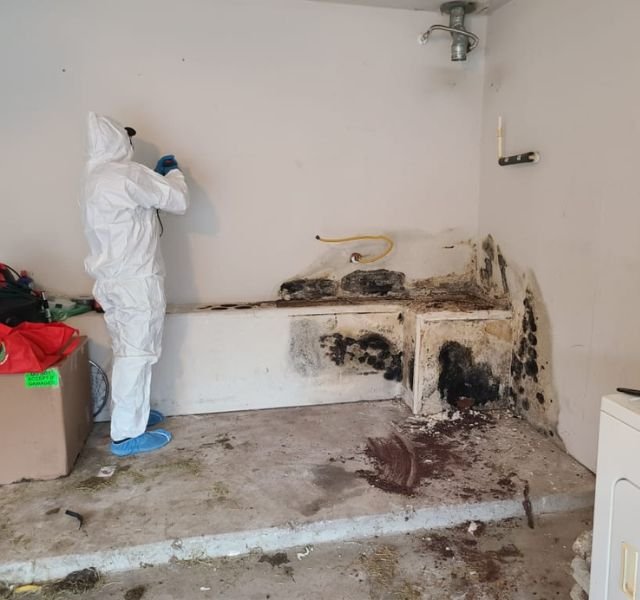 A man wearing a white suit and protective gear stands in a room with moldy walls, showcasing a mold removal service in Los Angeles.