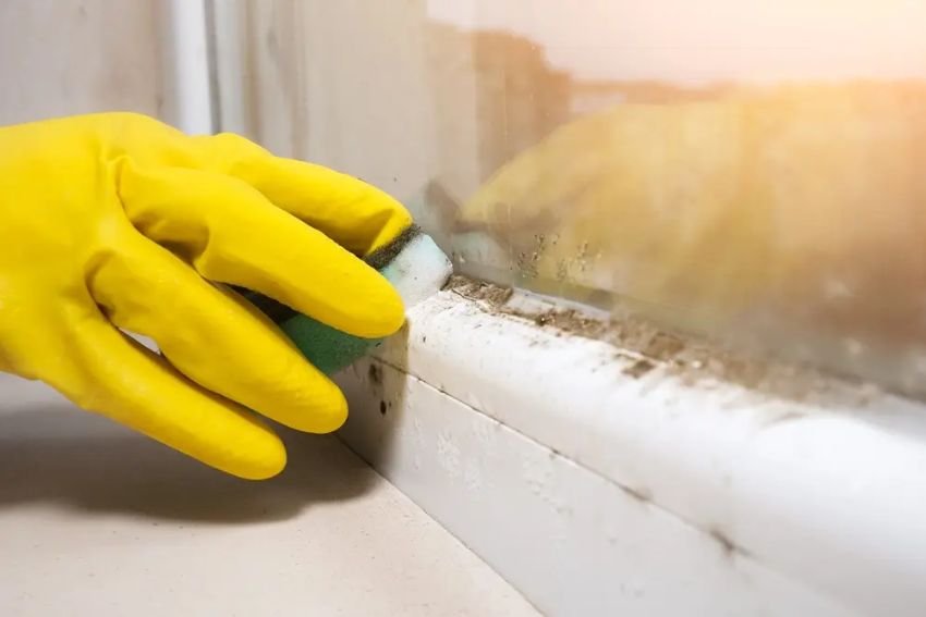 Individual wearing yellow gloves cleans a window, highlighting a wood mold removal service in Los Angeles, CA.