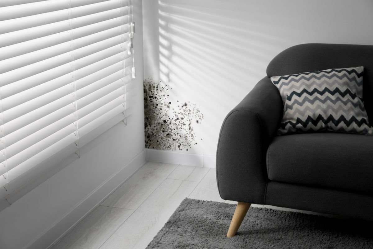 A black and white image featuring a chair positioned near a window, highlighting the interplay of light and shadow.