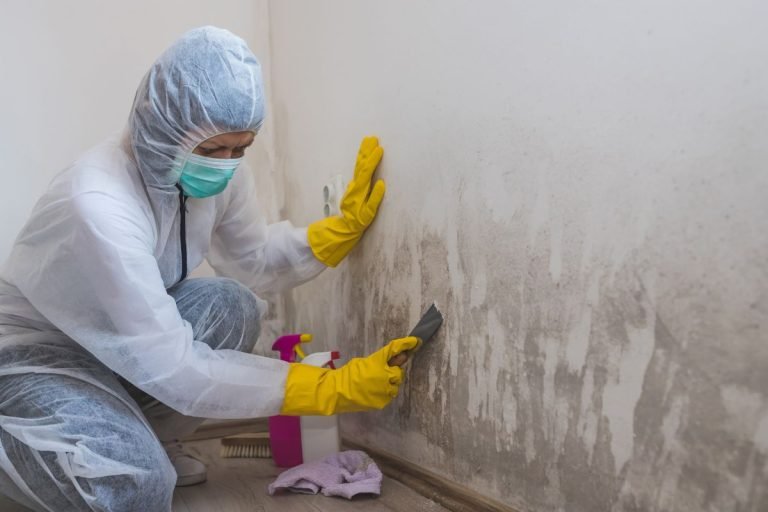 How to Stop Mold from Forming in Your Apartment HVAC System