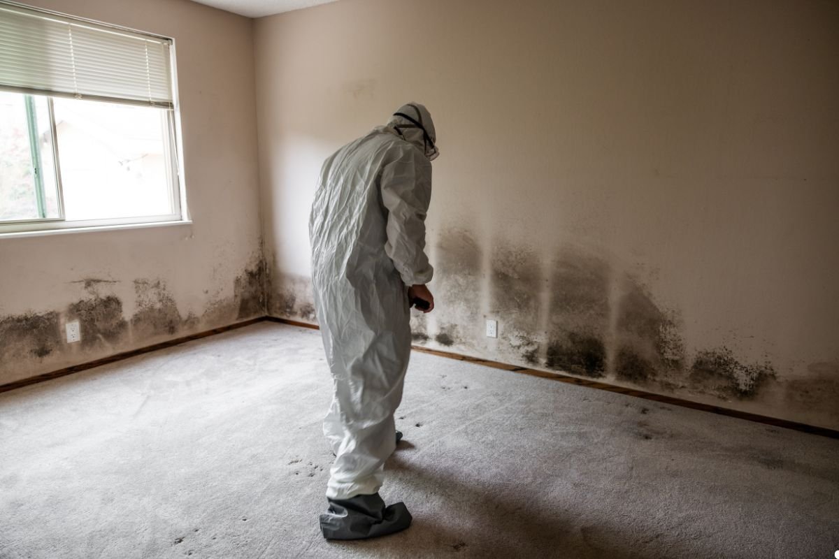 A worker in protective gear inspects a room with significant mold growth on the walls, revealing neglected moisture issues.