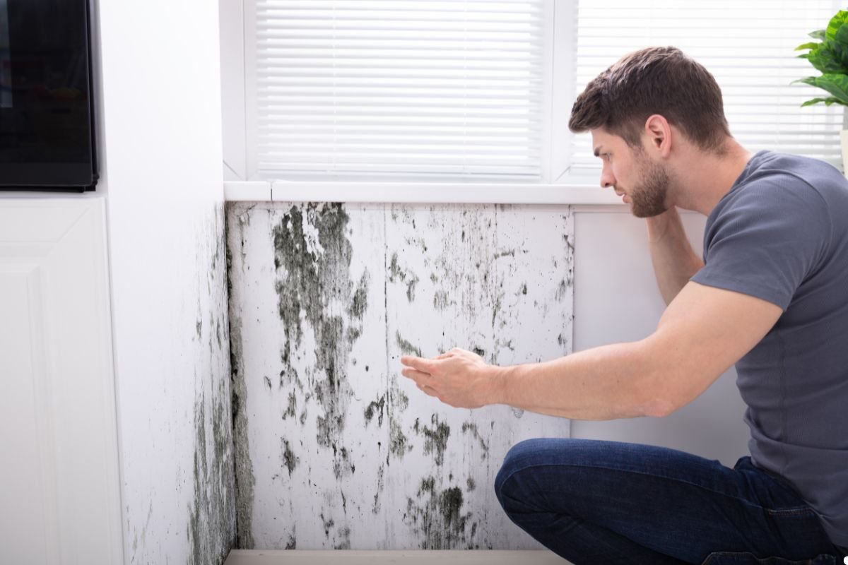 A person inspects a wall, revealing extensive mold growth near a window, highlighting water damage and maintenance concerns.