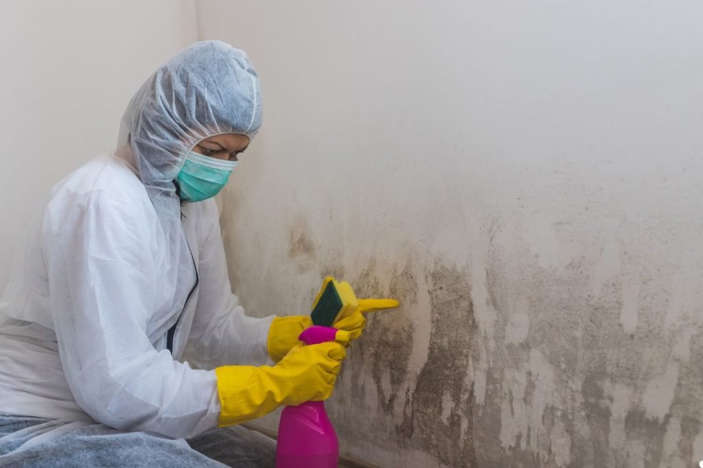 A person in protective gear cleans mold from a wall using a scrubber and spray bottle in a dimly lit room.