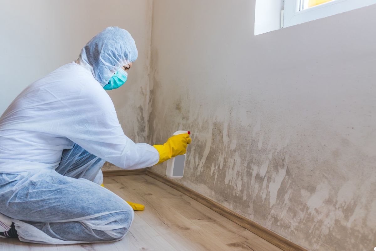A person in protective gear sprays a cleaning solution on a wall with visible mold, kneeling on a wooden floor in a light room.